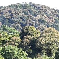 Higashiyama, la montagne de l'Est
