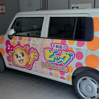 Quelques véhicules japonais