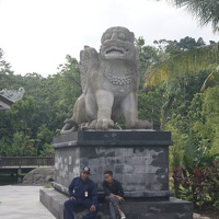 Monkey Forest