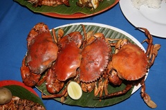 A Jimbaran, poissons et crustacés (2)