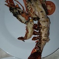 Diner de langoustes et gambas (2)