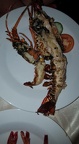 Diner de langoustes et gambas (2)