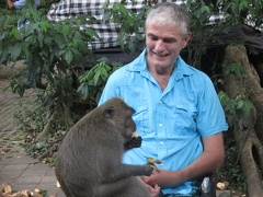 Avec des animaux  06