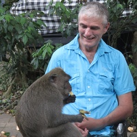 Avec des Animaux