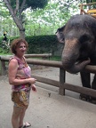 Avec des animaux  18