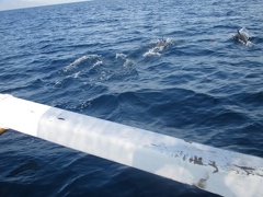 Au bord de l'eau  22